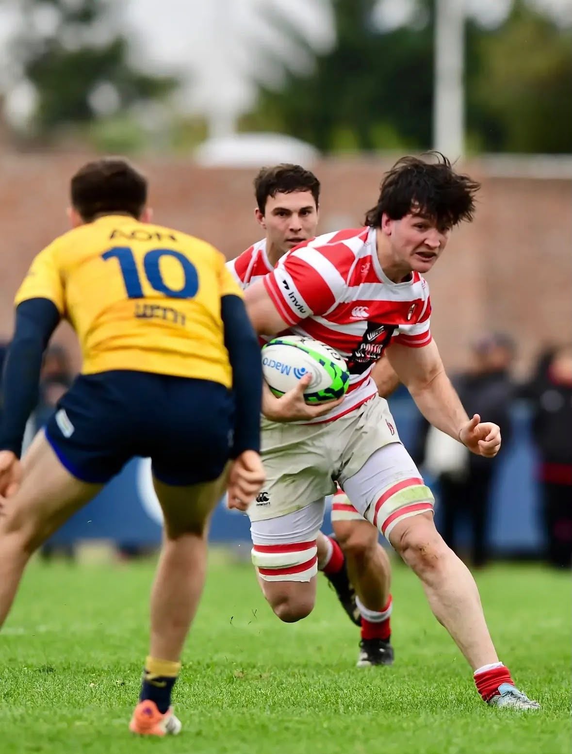 ALUMNI SIGUE SU PASO TRIUNFAL EN BUSCA DE ENTRAR ENTRE LOS MEJORES CUATRO EQUIPOS DEL TOP 14
